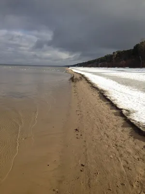 Балтийское Море Осенний Пляж Побережья Bolderaja Рига Латвия — стоковые  фотографии и другие картинки Береговая линия - iStock