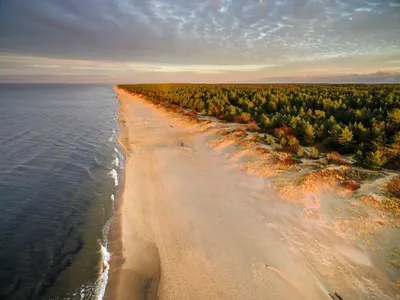 Побережье Балтийского моря