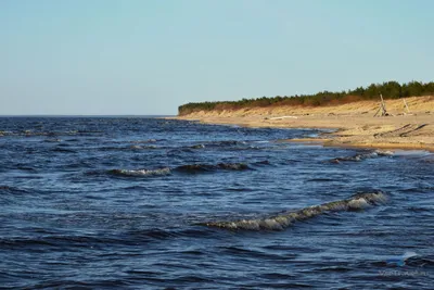 Рижское взморье — Википедия