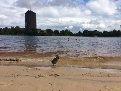 Необычная Рига - Мангальсала. Морские ворота Риги.. Всем... | Facebook