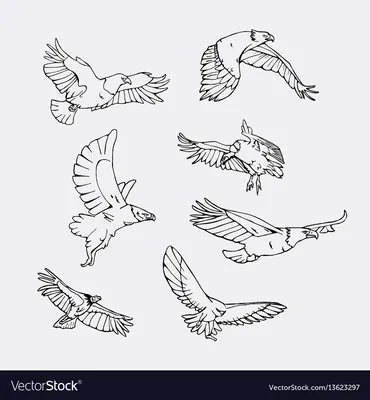 как рисовать птиц: 10 тыс изображений найдено в Яндекс.Картинках | Рисунок  птиц, Художественные рисунки, Рисунки