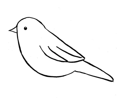 Calaméo - Рисунки птиц (Центр творческих идей)