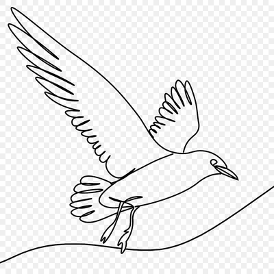Рисунки птиц – смотреть онлайн все 3 видео от Рисунки птиц в хорошем  качестве на RUTUBE