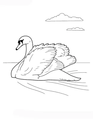 Простой рисунок птицы (19 фото) » Рисунки для срисовки и не только