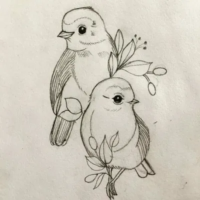 Рисунки птиц | Пикабу