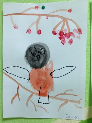 Рисунки - Покормите птиц зимой - Галерея - Любознайка - конкурсы для детей  и педагогов