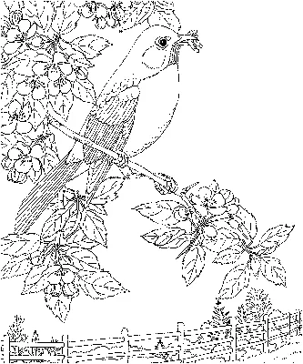 Иллюстрация чернил Tomtit птицы. Рисунки вектора птиц. Произведения темы  природы животных. Поверхностны минимальный стиль. Иллюстрация вектора -  иллюстрации насчитывающей природа, мило: 208367405