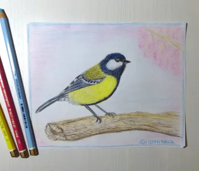 Картина Чайка, серый белый черный птица рисунок графика карандаш – заказать  на Ярмарке Мастеров – 5RWEZBY | Картины, Москва