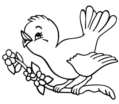 Рисунки птицы легкие (48 фото) » Рисунки для срисовки и не только