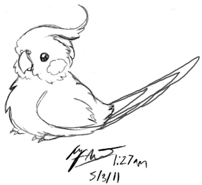 Рисунки птиц | Пикабу