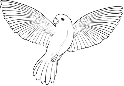 Как нарисовать птицу простым карандашом / Pencil drawing of a bird - YouTube