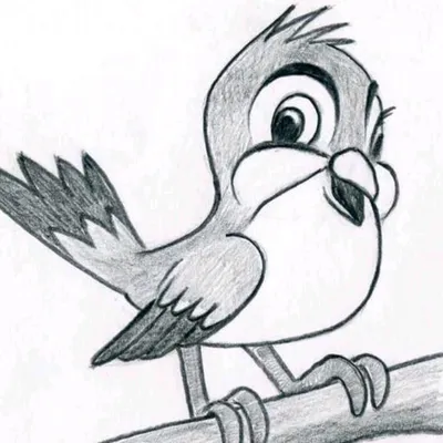 Птицы срисовки легкие пошаговые (800 рисунков) рисунки для начинающих  карандашом простые идеи красивые картинки