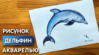 Ручной рисунок дельфина векторная иллюстрация в стиле эскиза прыгающий  дельфин на белом фоне | Премиум векторы