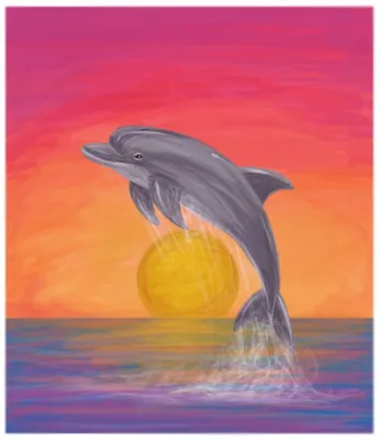 Раскраска животные дельфин. Рисунок дельфина в коралловом рифе