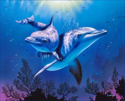 простой силуэт дельфина. векторный рисунок дельфина на белом фоне  Иллюстрация вектора - иллюстрации насчитывающей млекопитающее, ангстрома:  216676616