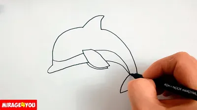 Рисунок на канве Матренин Посад 37х49 - 0522 Дельфины в море – купить оптом  и в розницу от 526.0 руб. | ШвейСклад