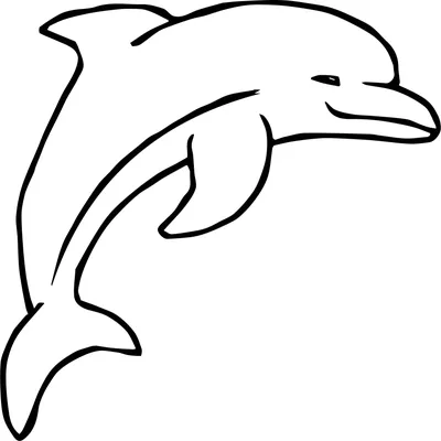 How to draw Dolphin simple and fast ✓ - YouTube