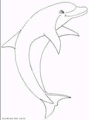 простой силуэт дельфина. векторный рисунок дельфина на белом фоне  Иллюстрация вектора - иллюстрации насчитывающей художничества, природа:  216676908