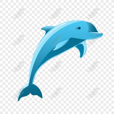 Легкий рисунок дельфина - 61 фото