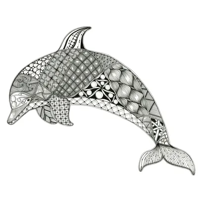 Дельфин рисунок (50 лучших фото)