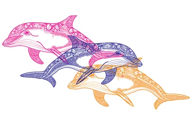 Эскиз Дельфина Нарисованная Вручную Иллюстрация Преобразуется В Вектор —  стоковая векторная графика и другие изображения на тему Дельфин - iStock
