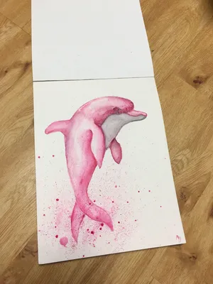 Уроки рисования в Артакадемии– как рисовать дельфина? | АРТАКАДЕМИЯ Курсы  рисования Киев