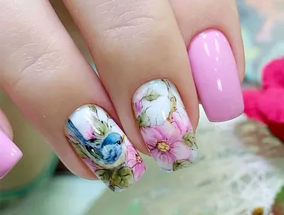 Френч и маки | Best nail art designs, Nail art, Nail art designs 2016