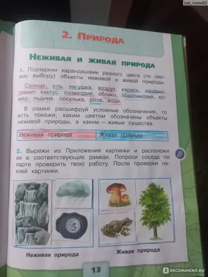 Домик кузнечика в природе - 67 фото