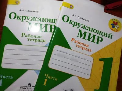 мир глазами ребенка. красивые детки рисуют семью. концепция счастливого  детства Иллюстрация штока - иллюстрации насчитывающей дети, счастье:  251895909