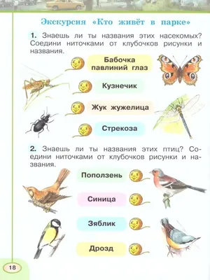 Картинки луг для детей по окружающему миру (63 фото) » Картинки и статусы  про окружающий мир вокруг