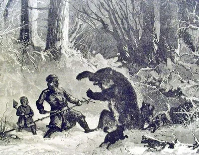 № 1430 Рогатина на медведя