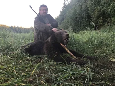 Смотри – медведь… | Арсенал охотника и рыболова