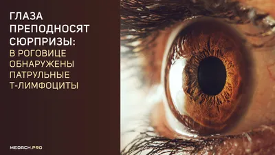 Отек глаза и ожог роговицы: таганроженка пожаловалась на болезненные  симптомы после наращивания ресниц