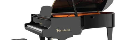 Рояль 225 - Рояли и Пианино Bösendorfer - Модели - Bösendorfer