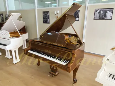 Чем отличается фортепиано от пианино? | Belcanto.ru