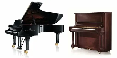 Рояли и пианино : Чайка 191 Professional