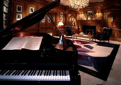 Самые дорогие фортепиано в мире — Топ 10