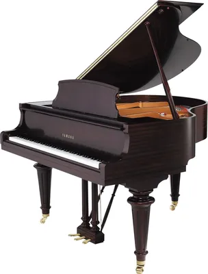 Продажа пианино и роялей, аренда роялей — «Салон Виктора Головченко» —  купить пианино, рояли и аксессуары.