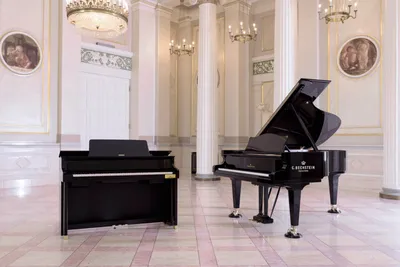 Цифровые пианино Orla (рояли) купить в Москве по доступной цене