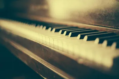 Статья рассказывает о тонкостях настройки акустических клавишных  инструментов | Muzmart