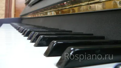 Чем отличается пианино от фортепиано и рояля. История возникновения этого  инструмента. Электронное и цифровое фортепиано. - meteo.by