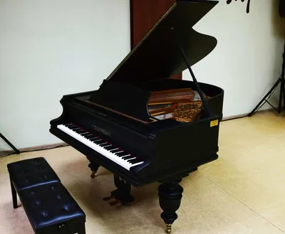 Ищу старый рояль фортепиано пианино в рабочем состоянии и не шибко убитые