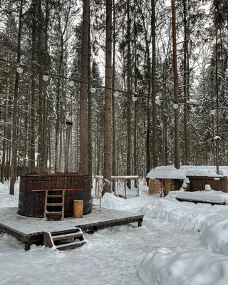 Эко отель Романов Лес, Кострома - «Чем заняться зимой в сказочном \"Романов  лес\"?! » | отзывы