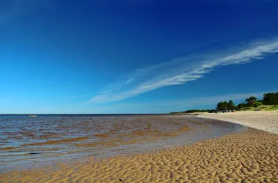 романтическая пара пляж отдых Стоковое Изображение - изображение  насчитывающей романтично, океан: 216881041