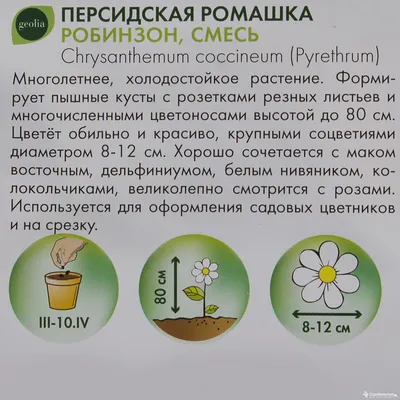 Пиретрум ромашка персидская купить в москве — купить по низкой цене на  Яндекс Маркете