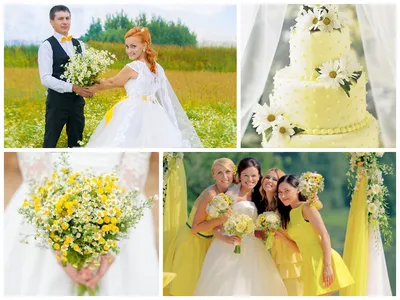 Ромашковая свадьба: оформление и фото