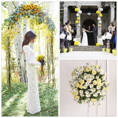 Фотографии: Декор свадеб - Ромашковая свадьба