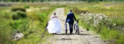 Ромашковая свадьба в усадьбе Валуево