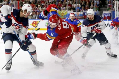 File:Россия США следж-хоккей Сочи 2014.JPG - Wikimedia Commons