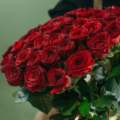 Букет из 101 красной розы 70 см купить недорого с доставкой в Челябинске
